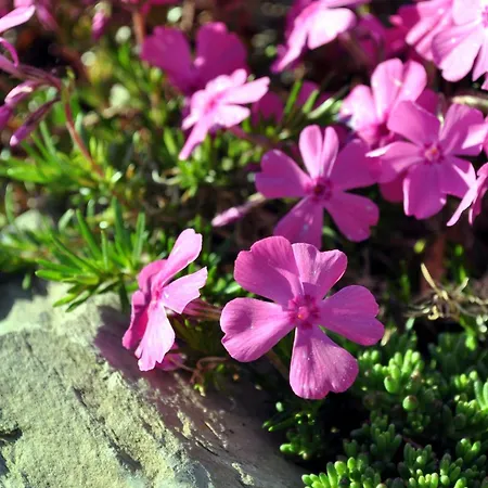 Casa vacanze The And The Loft *