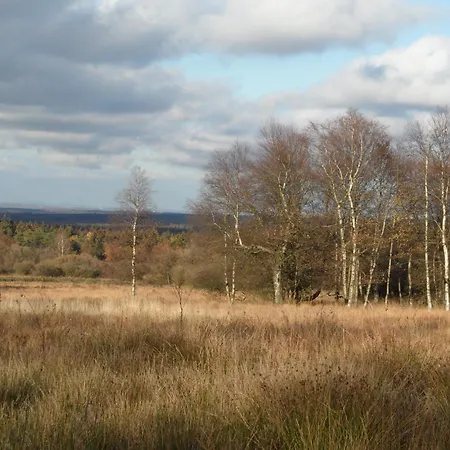 The And The Loft Amblève